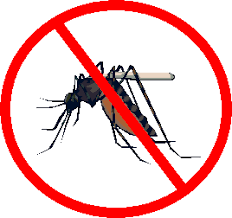 bird-control-service-coimbatore