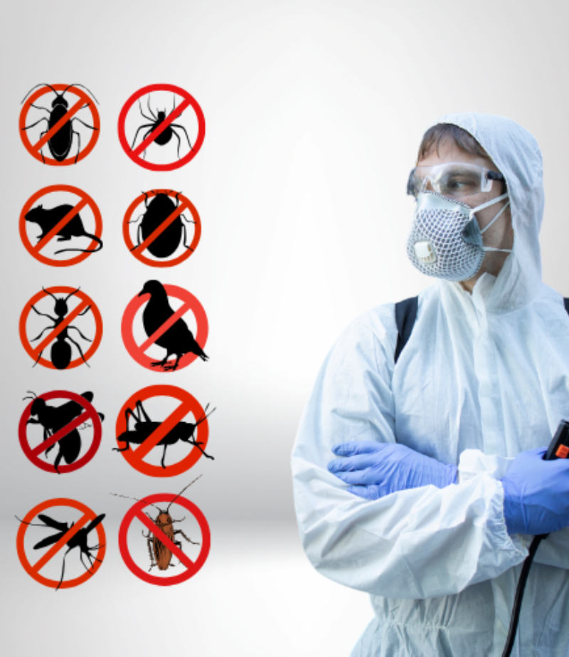 mosquito-control-services-coimbatore